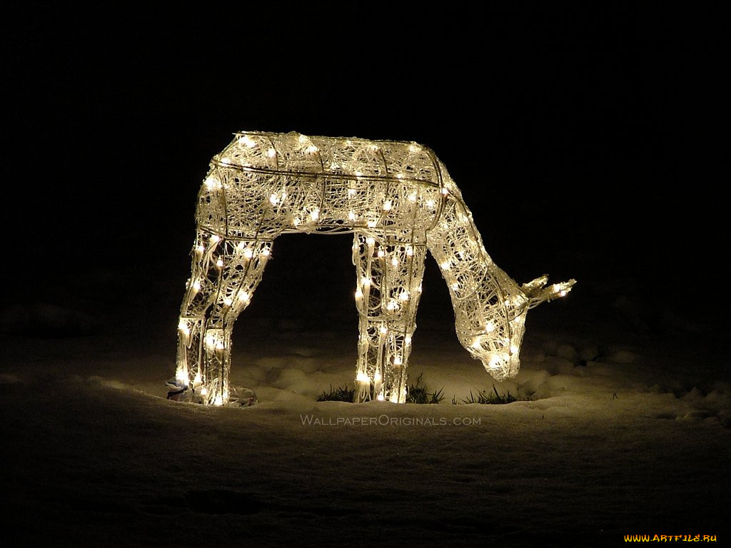 , 